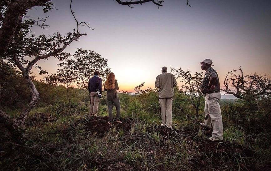 walking safaris