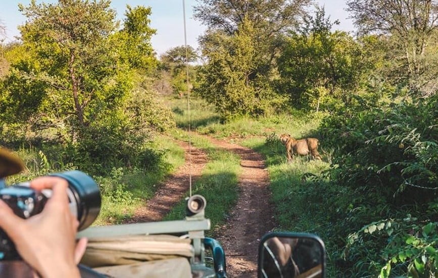 Photographic Safari